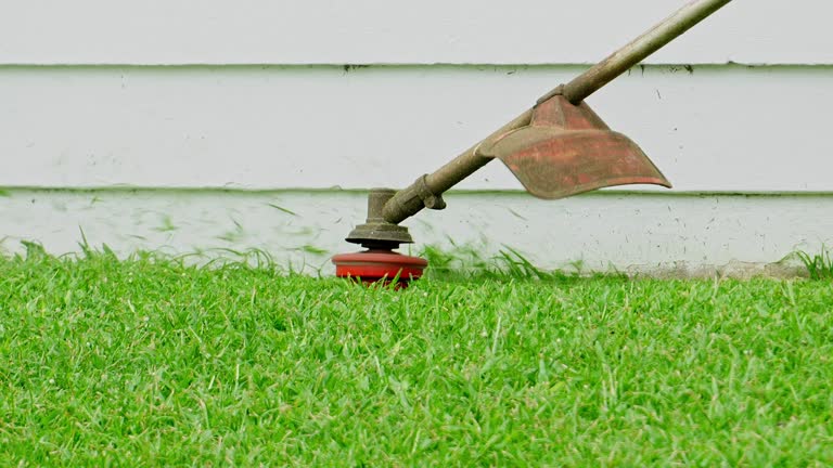 Lawn Watering Services in Hastings, PA