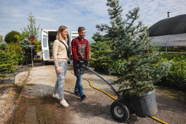 How Our Tree Care Process Works  in  Hastings, PA